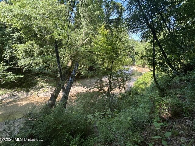 Lower Gloster Road Property Photo 8