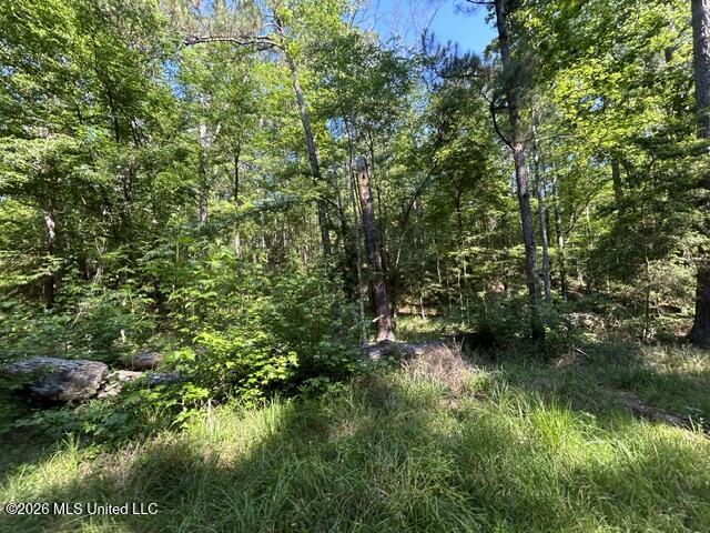 Parker Road Property Photo 3