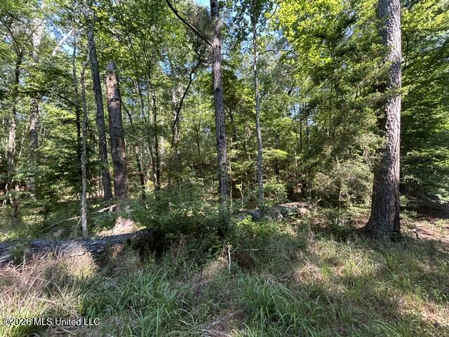 Parker Road Property Photo 4