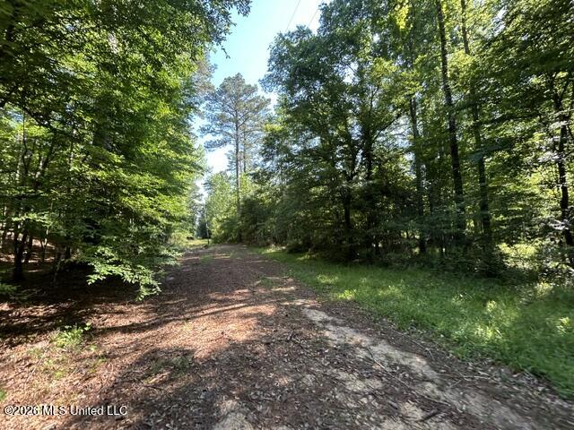 Parker Road Property Photo 5