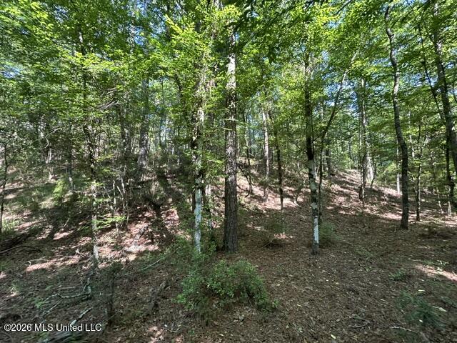 Parker Road Property Photo 6