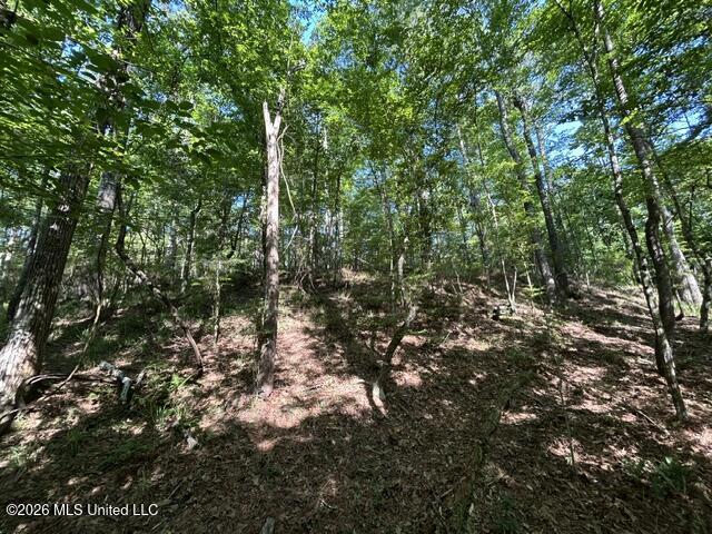 Parker Road Property Photo 7