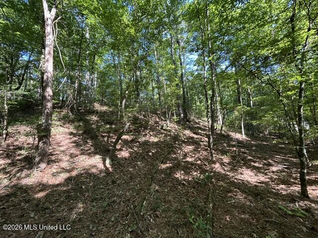 Parker Road Property Photo 8