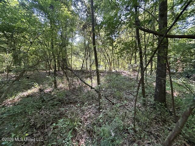 Parker Road Property Photo 10