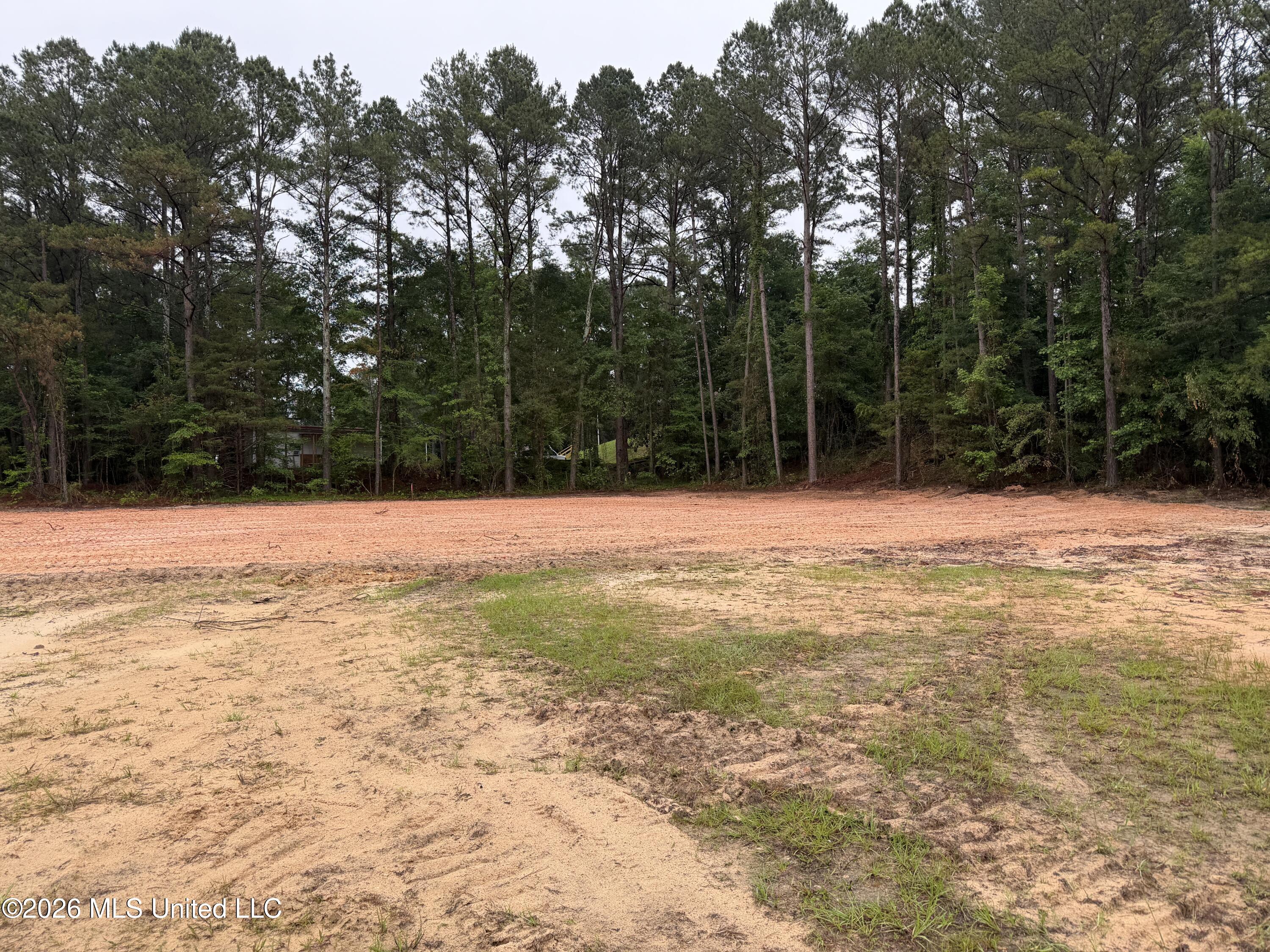 0 Mississippi 35 Property Photo 1