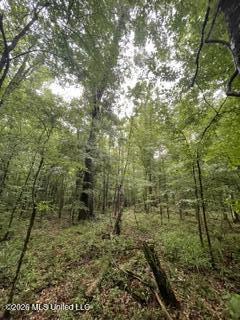 Lowenkamp Lane Property Photo 3