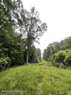 Lowenkamp Lane Property Photo 6