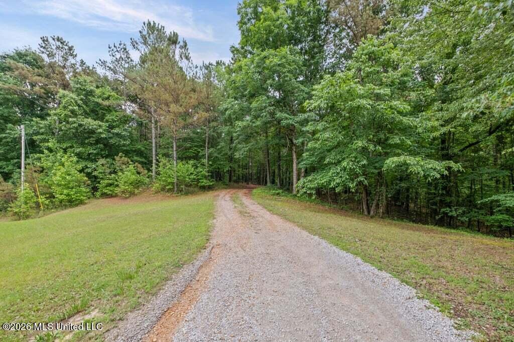 221 Pleasant Hill Drive Property Photo 35
