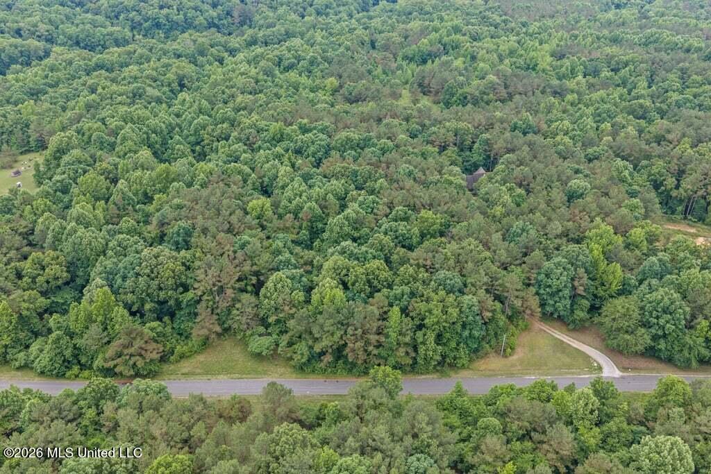 221 Pleasant Hill Drive Property Photo 48
