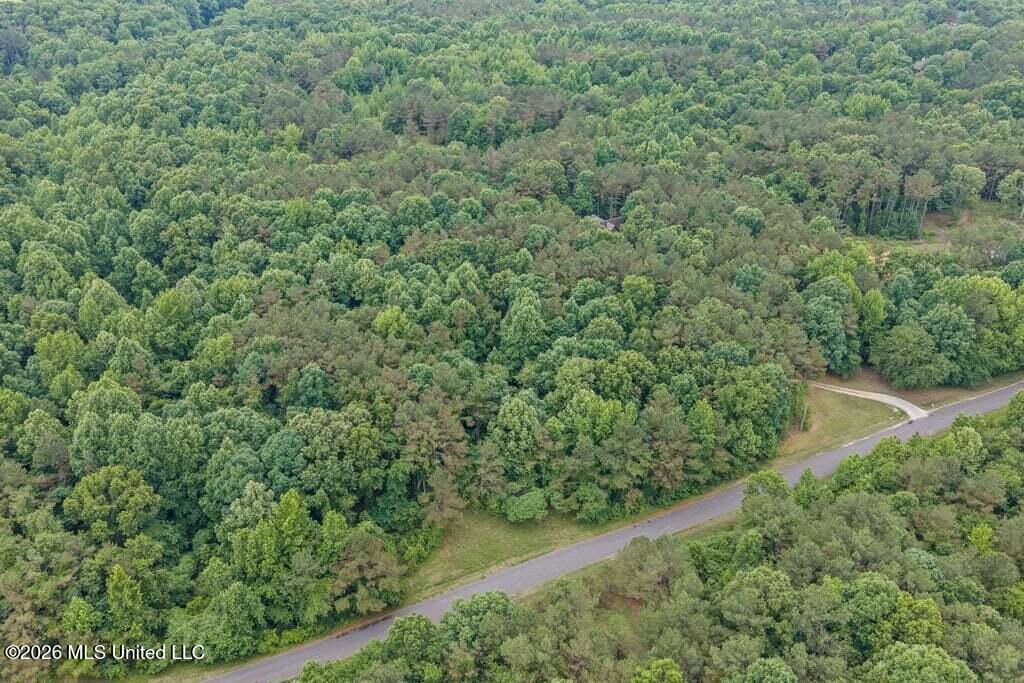 221 Pleasant Hill Drive Property Photo 49