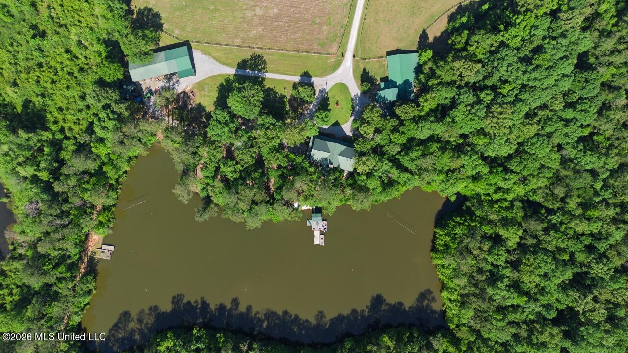 7961 Alabama 41 Property Photo 3