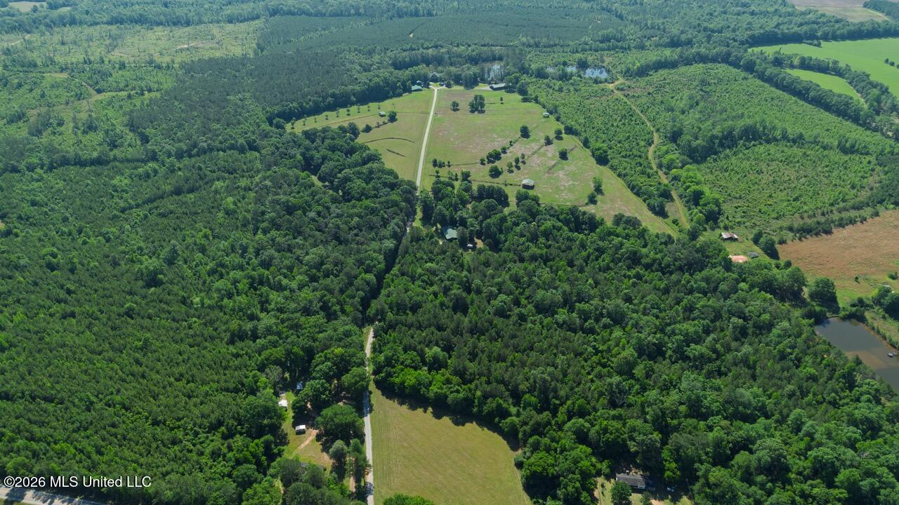 7961 Alabama 41 Property Photo 6