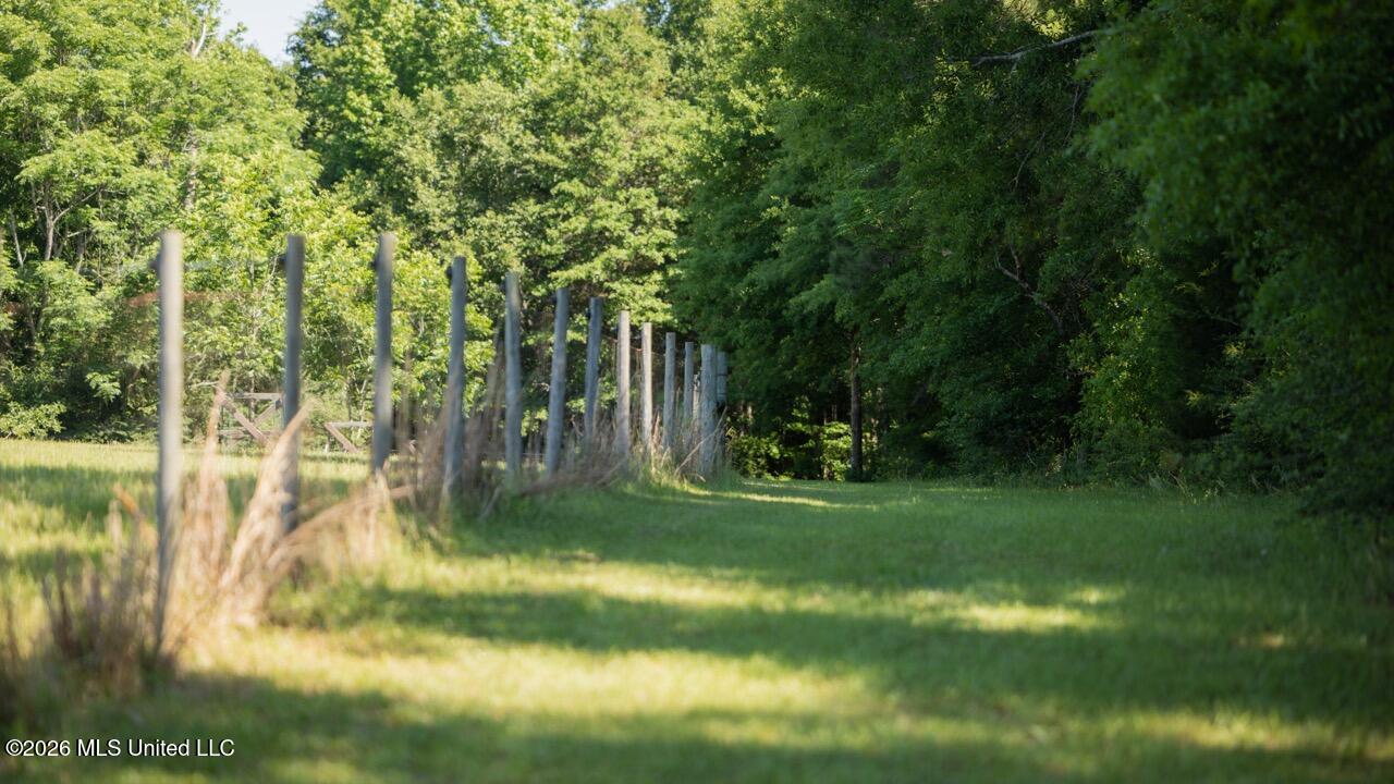 7961 Alabama 41 Property Photo 46