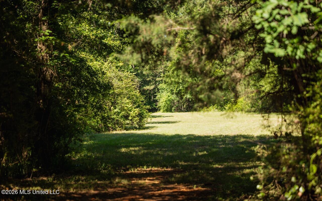 7961 Alabama 41 Property Photo 47