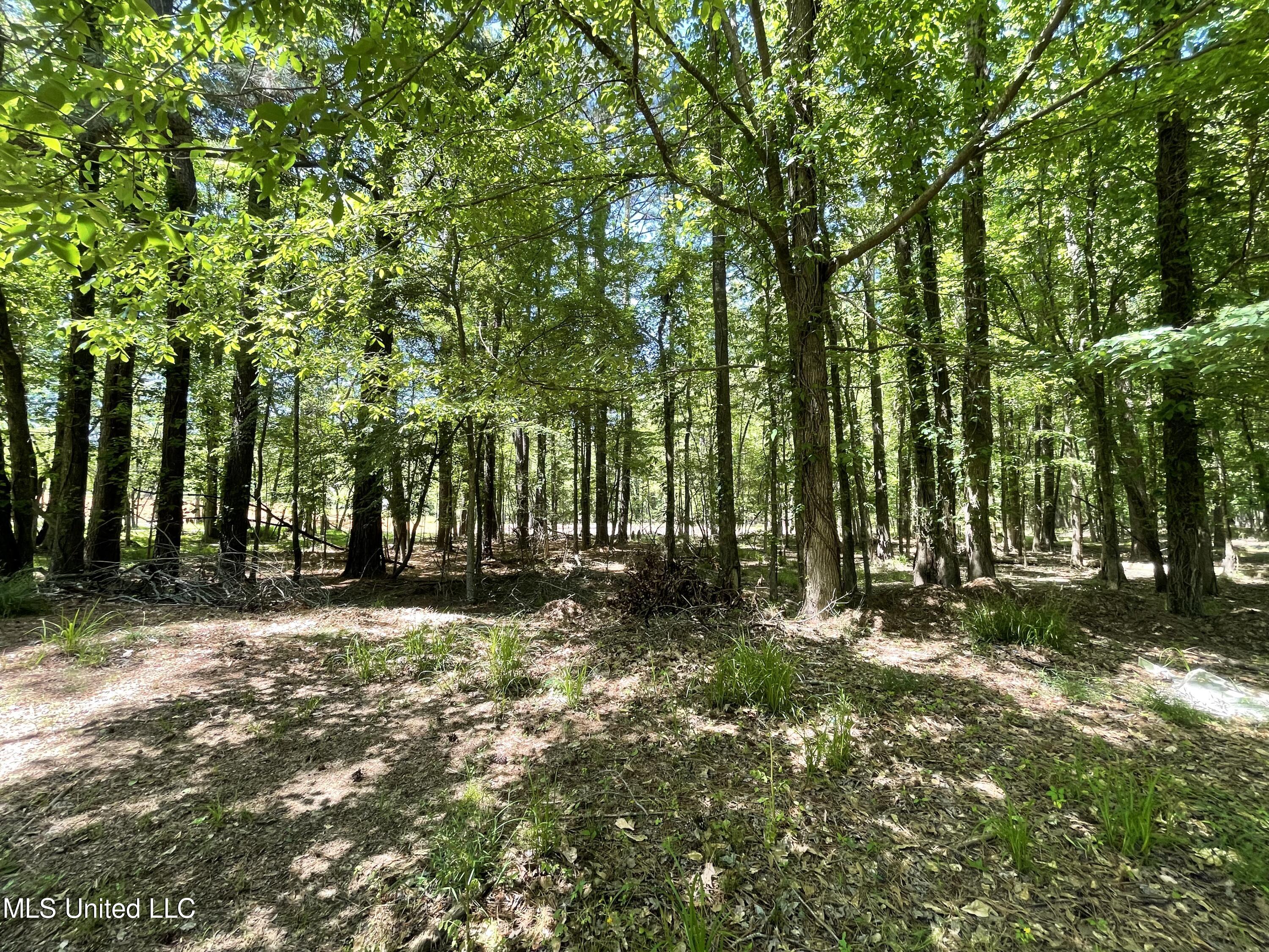 Lot 4 Chantilly Drive Property Photo 3
