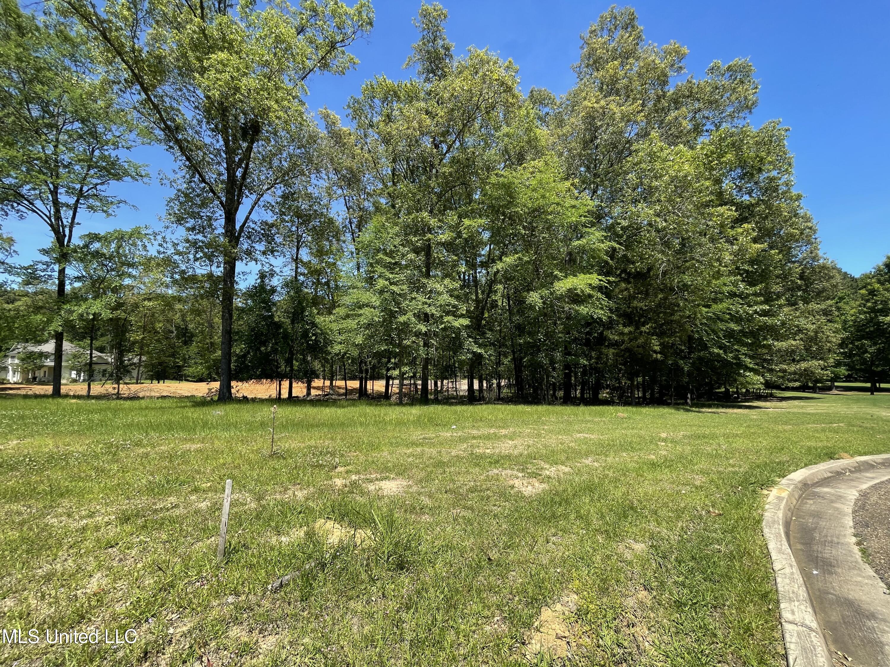 Lot 4 Chantilly Drive Property Photo 4