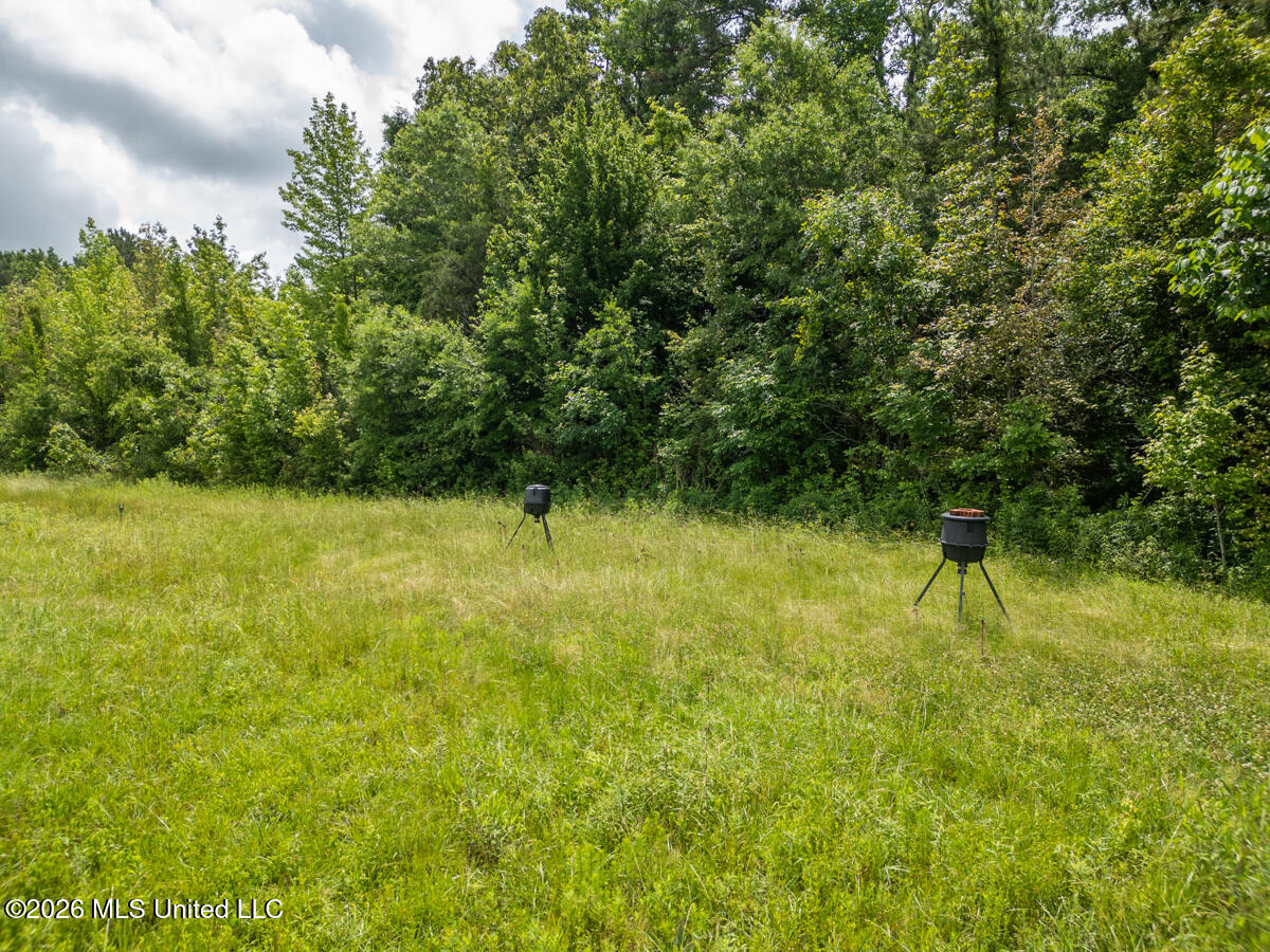 1529 Lower Milligan Springs Road Property Photo 31