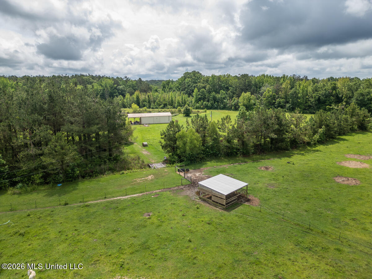 1529 Lower Milligan Springs Road Property Photo 32