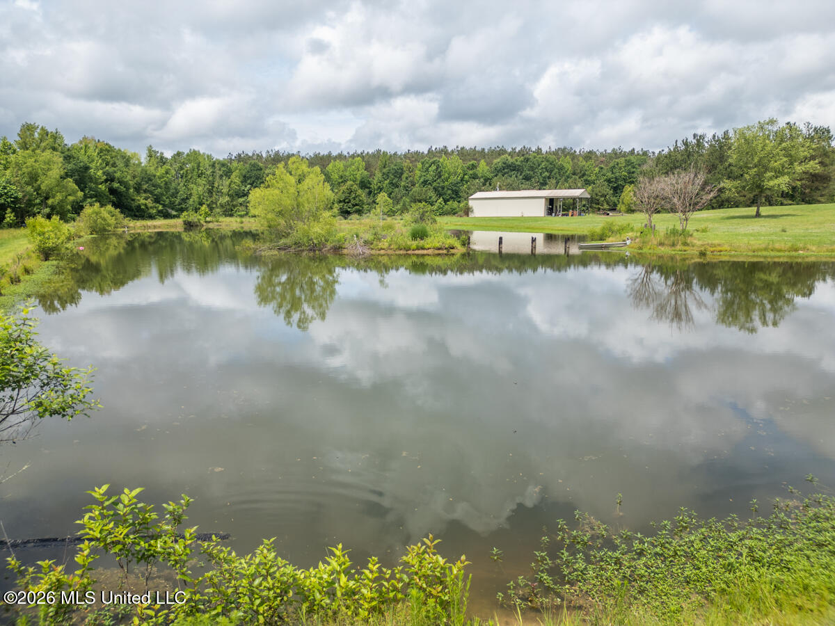 1529 Lower Milligan Springs Road Property Photo 33
