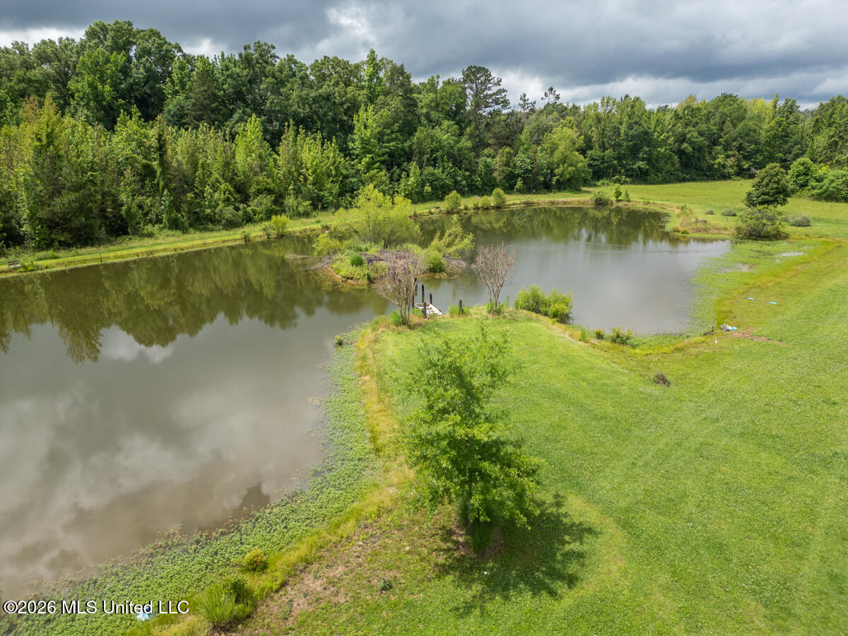 1529 Lower Milligan Springs Road Property Photo 34