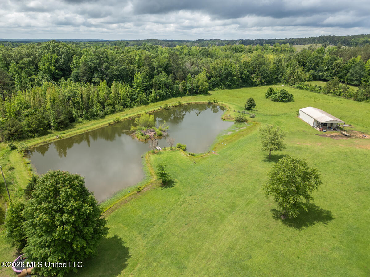 1529 Lower Milligan Springs Road Property Photo 35