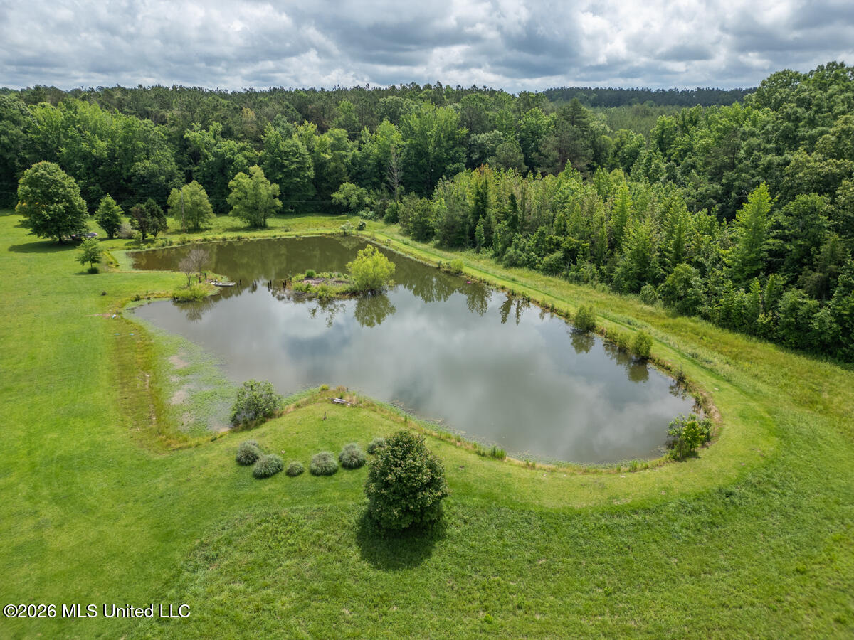 1529 Lower Milligan Springs Road Property Photo 44