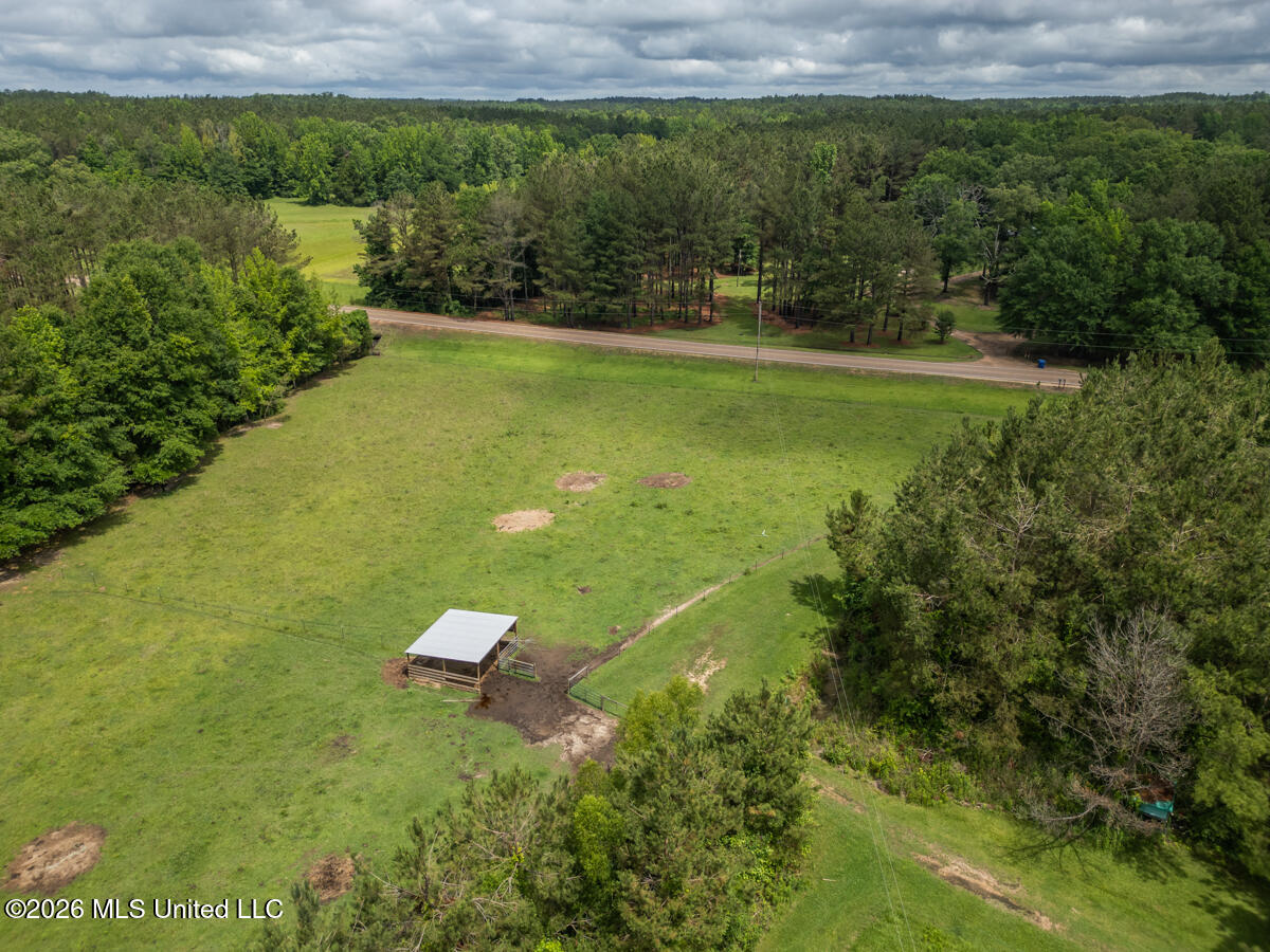1529 Lower Milligan Springs Road Property Photo 45
