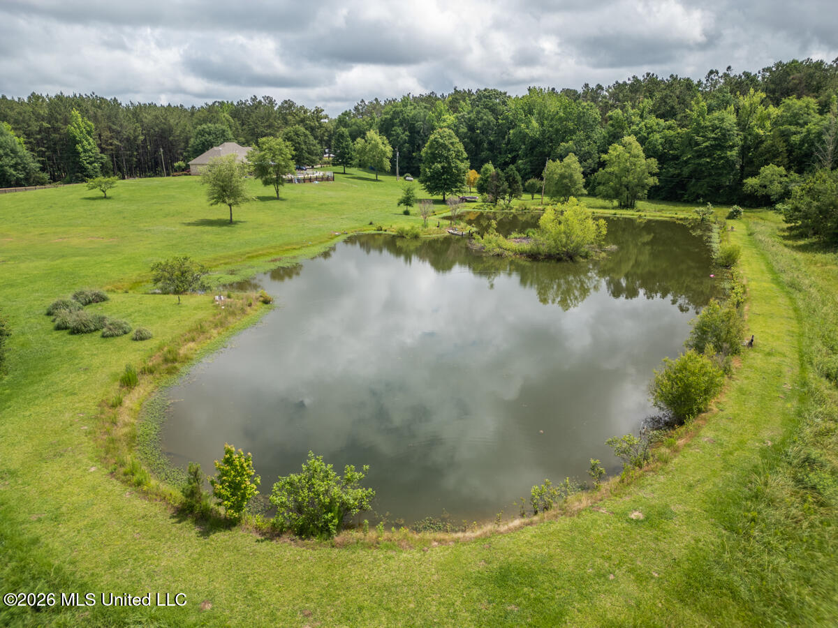1529 Lower Milligan Springs Road Property Photo 46