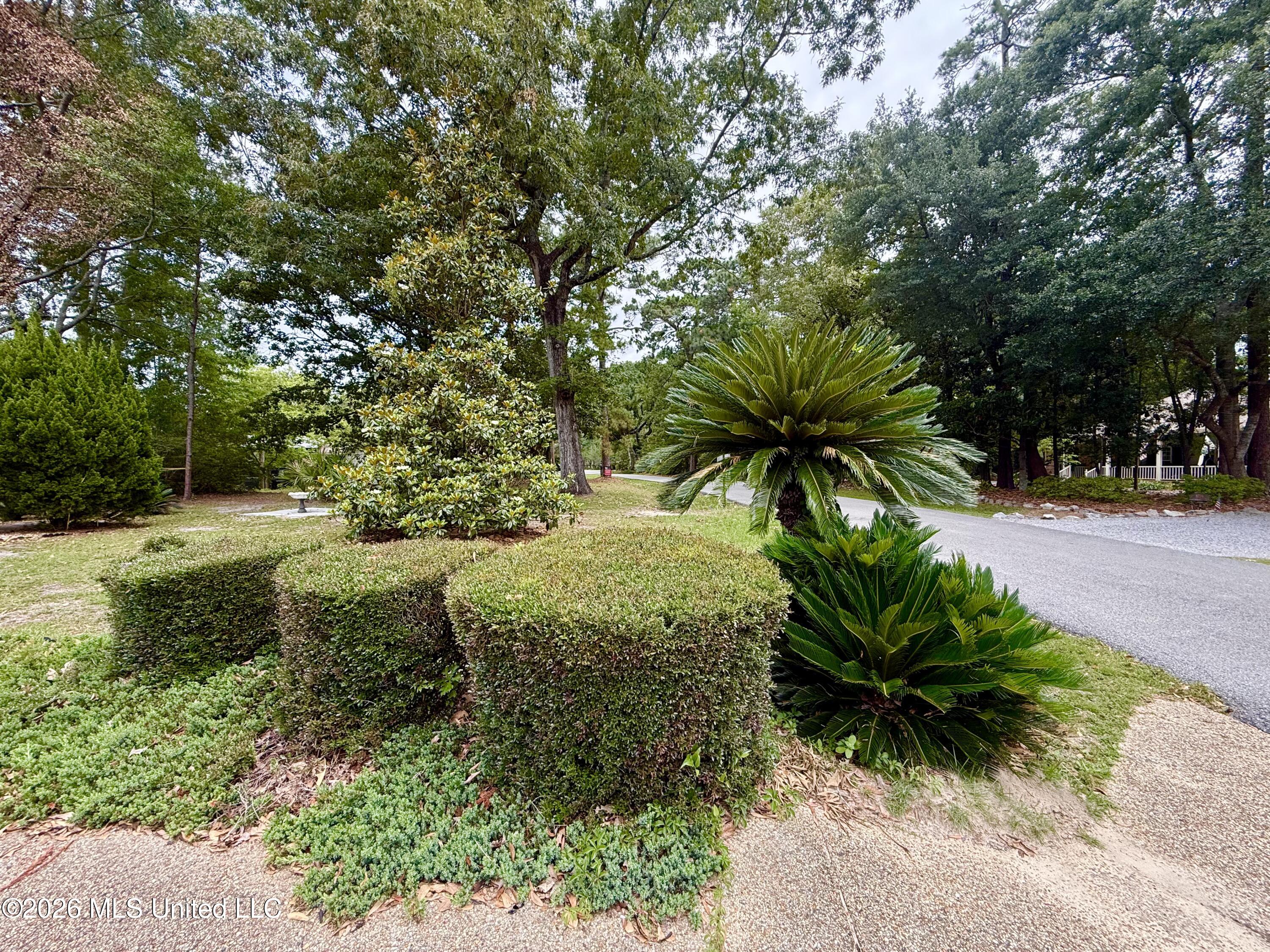 8713 Bayou Castelle Drive Property Photo 31