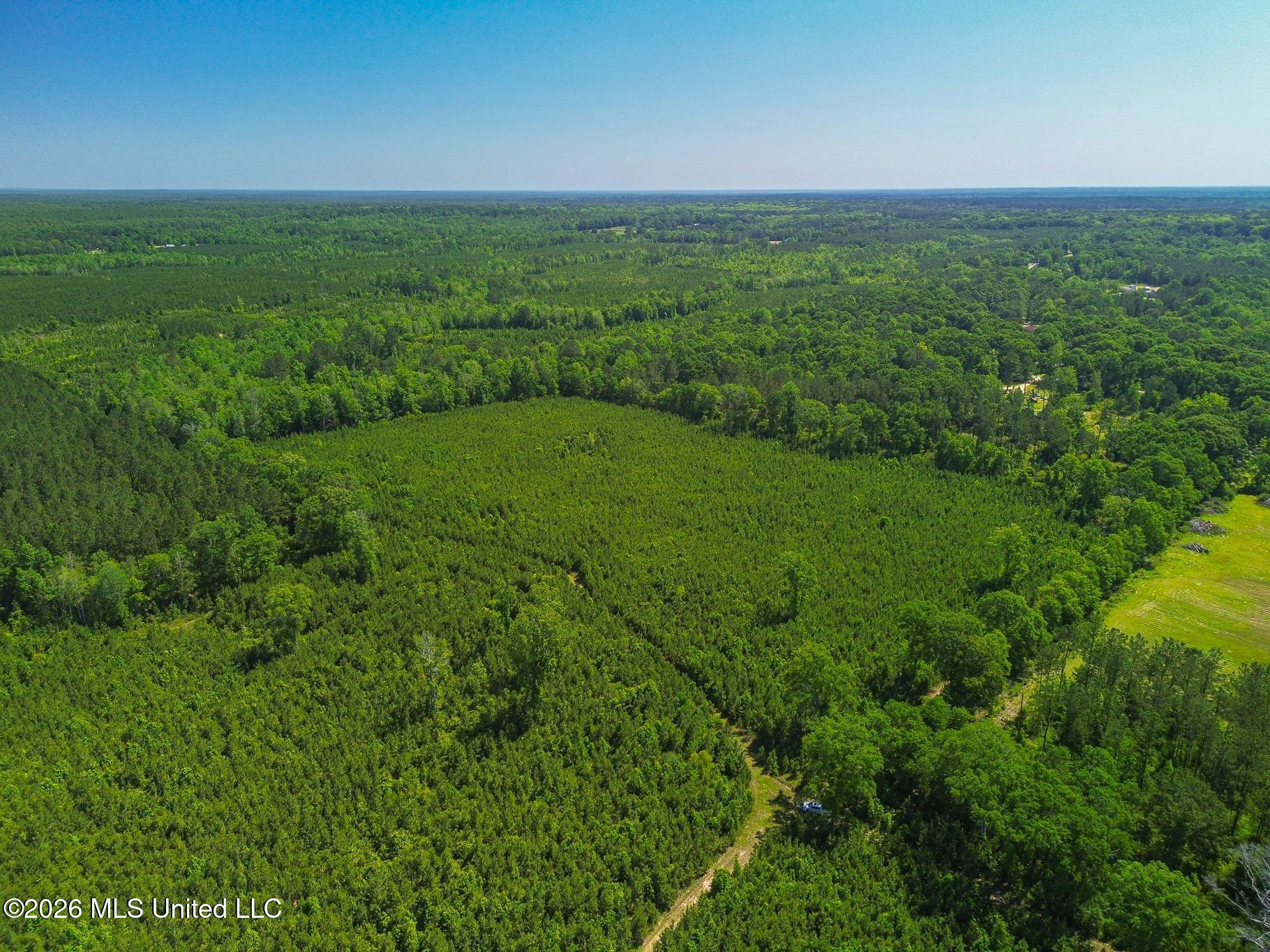 271 Shadeville Road Property Photo 5
