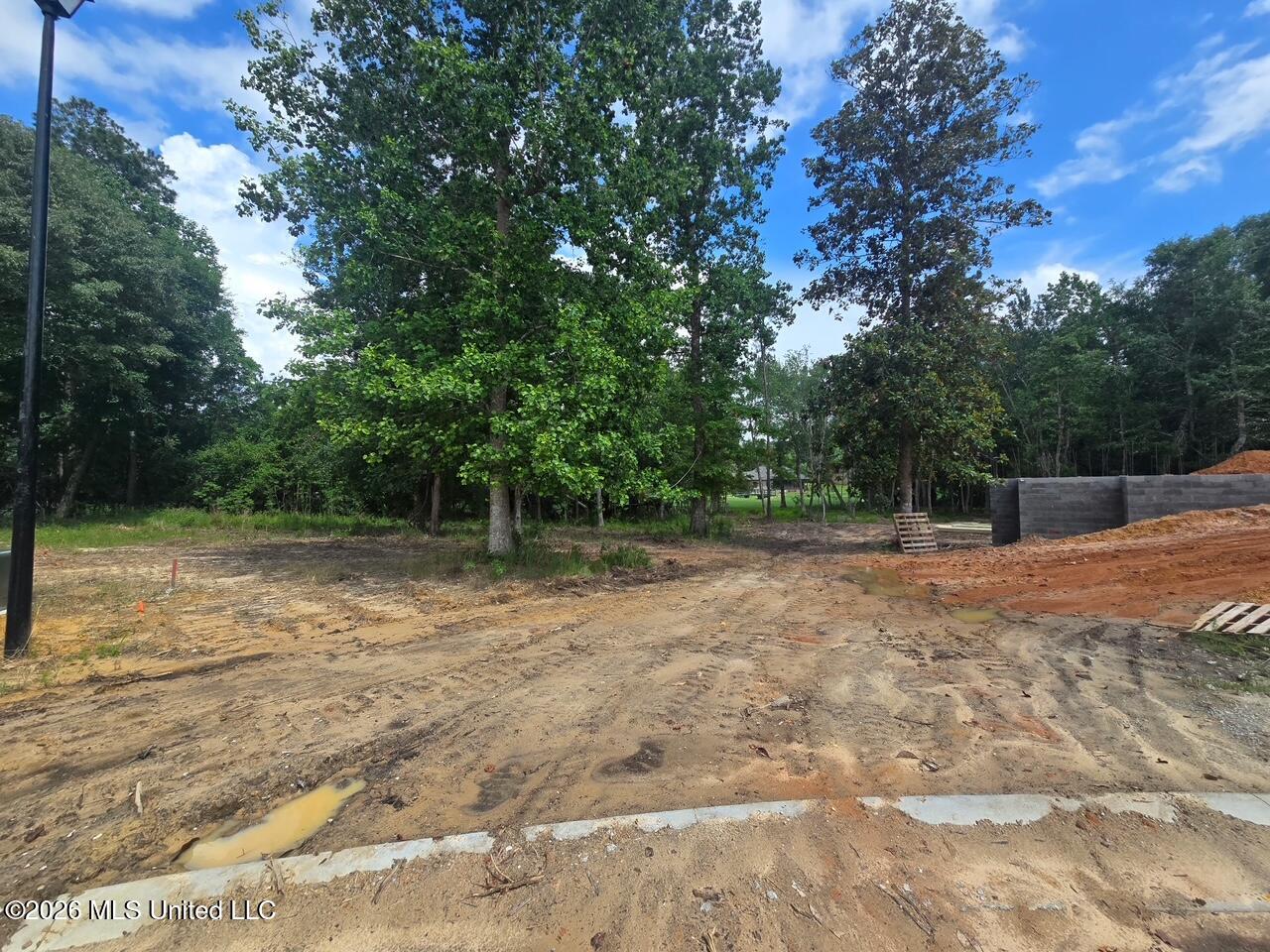 5516 Maluhia Cv Property Photo 3