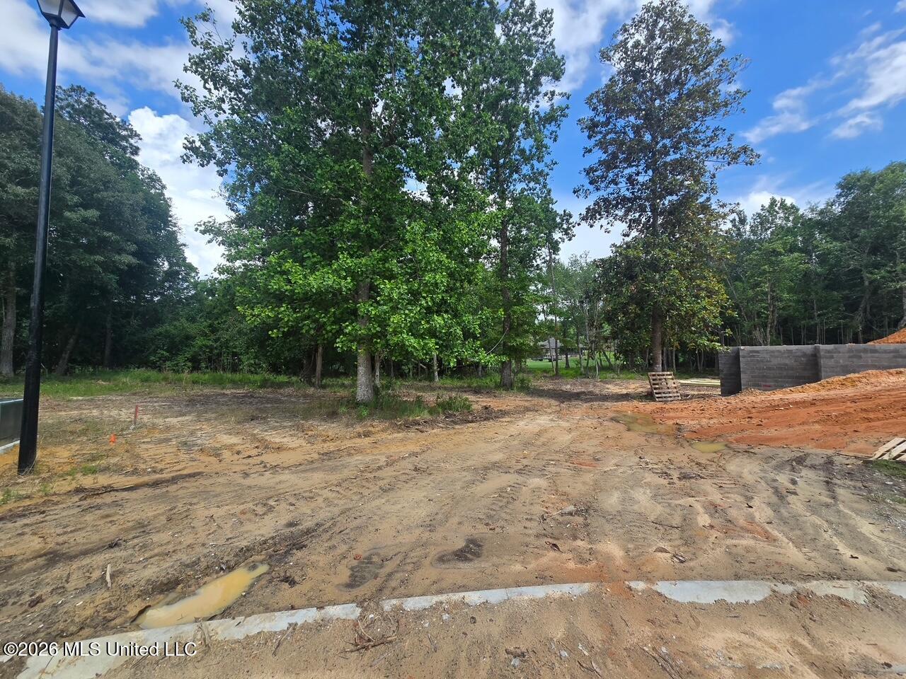 5516 Maluhia Cv Property Photo 4