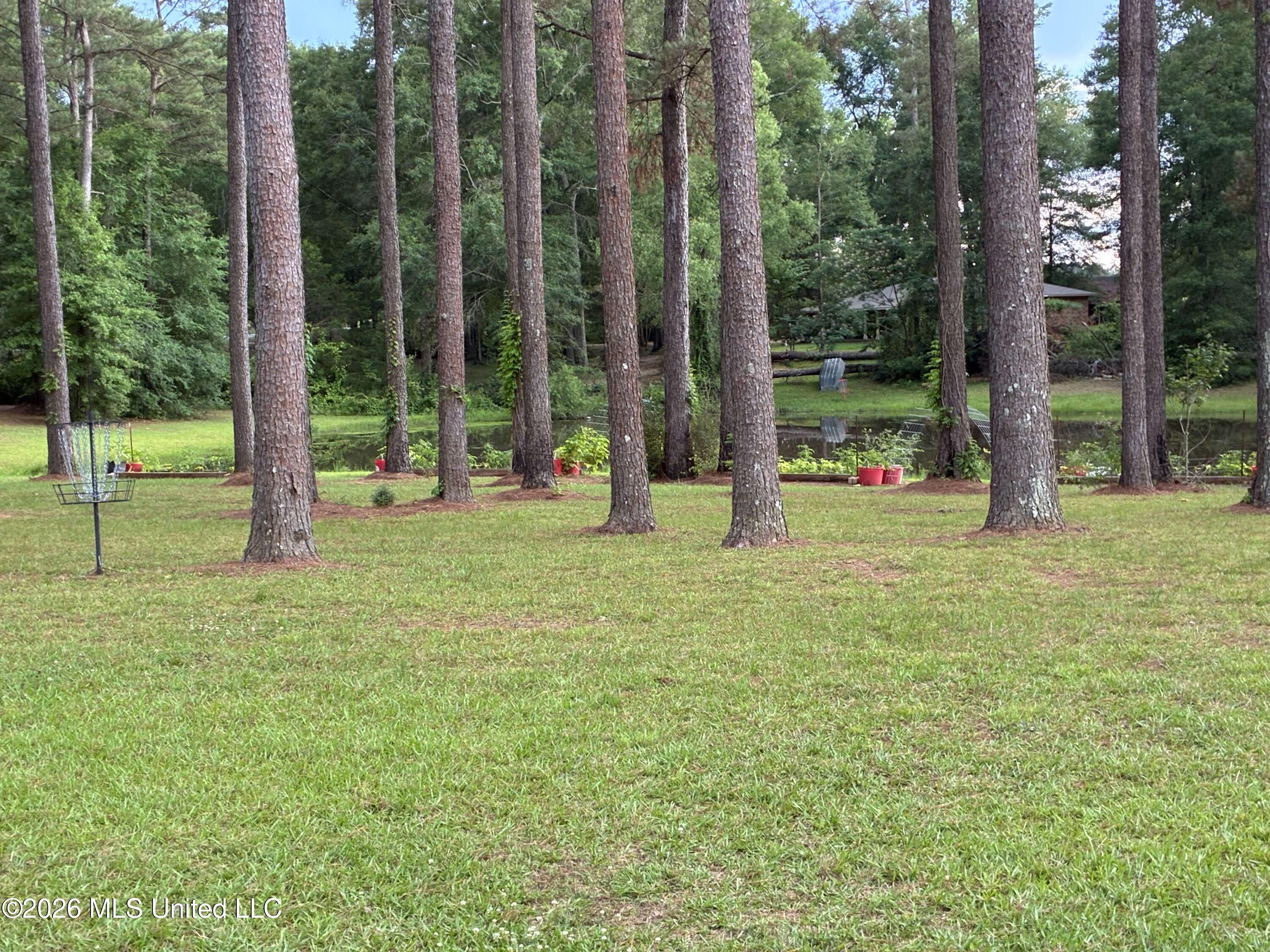 367 Highway 44 Property Photo 37