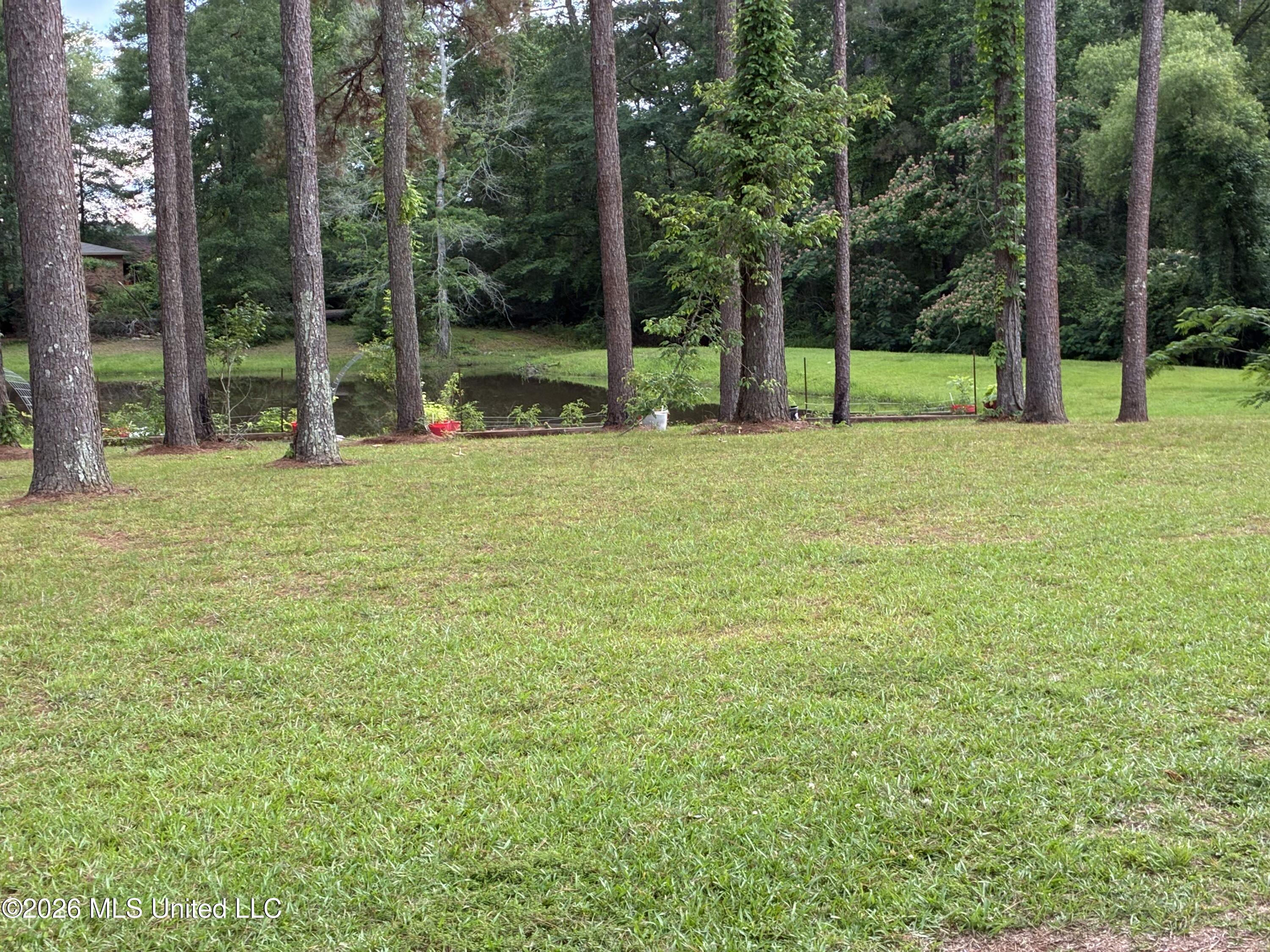 367 Highway 44 Property Photo 38