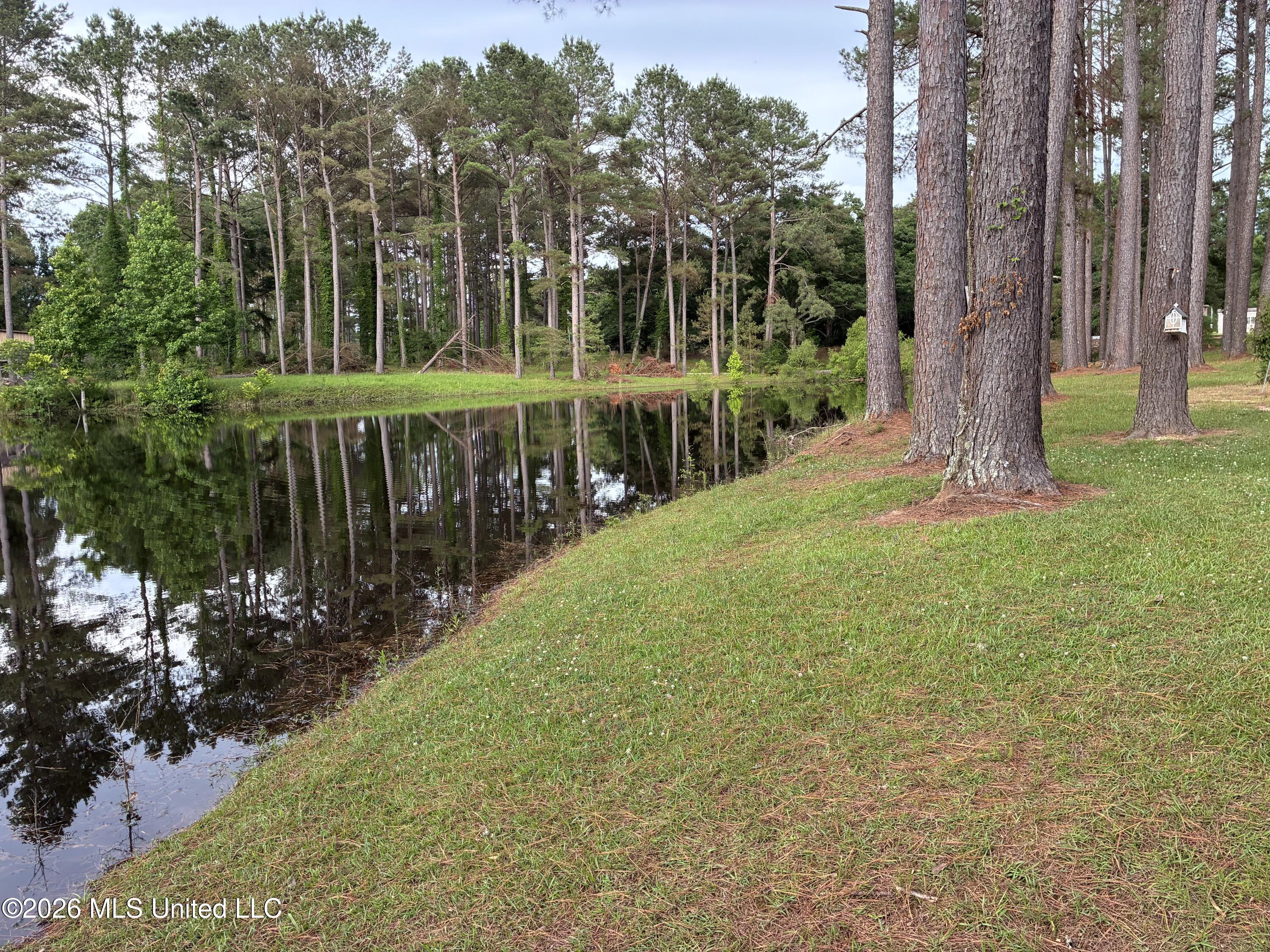 367 Highway 44 Property Photo 39