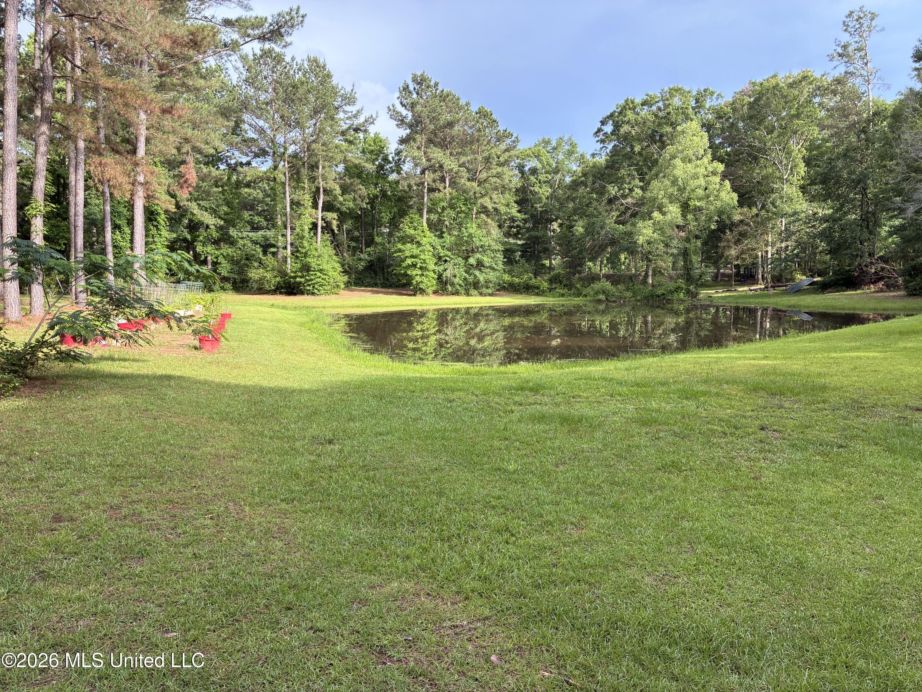 367 Highway 44 Property Photo 41