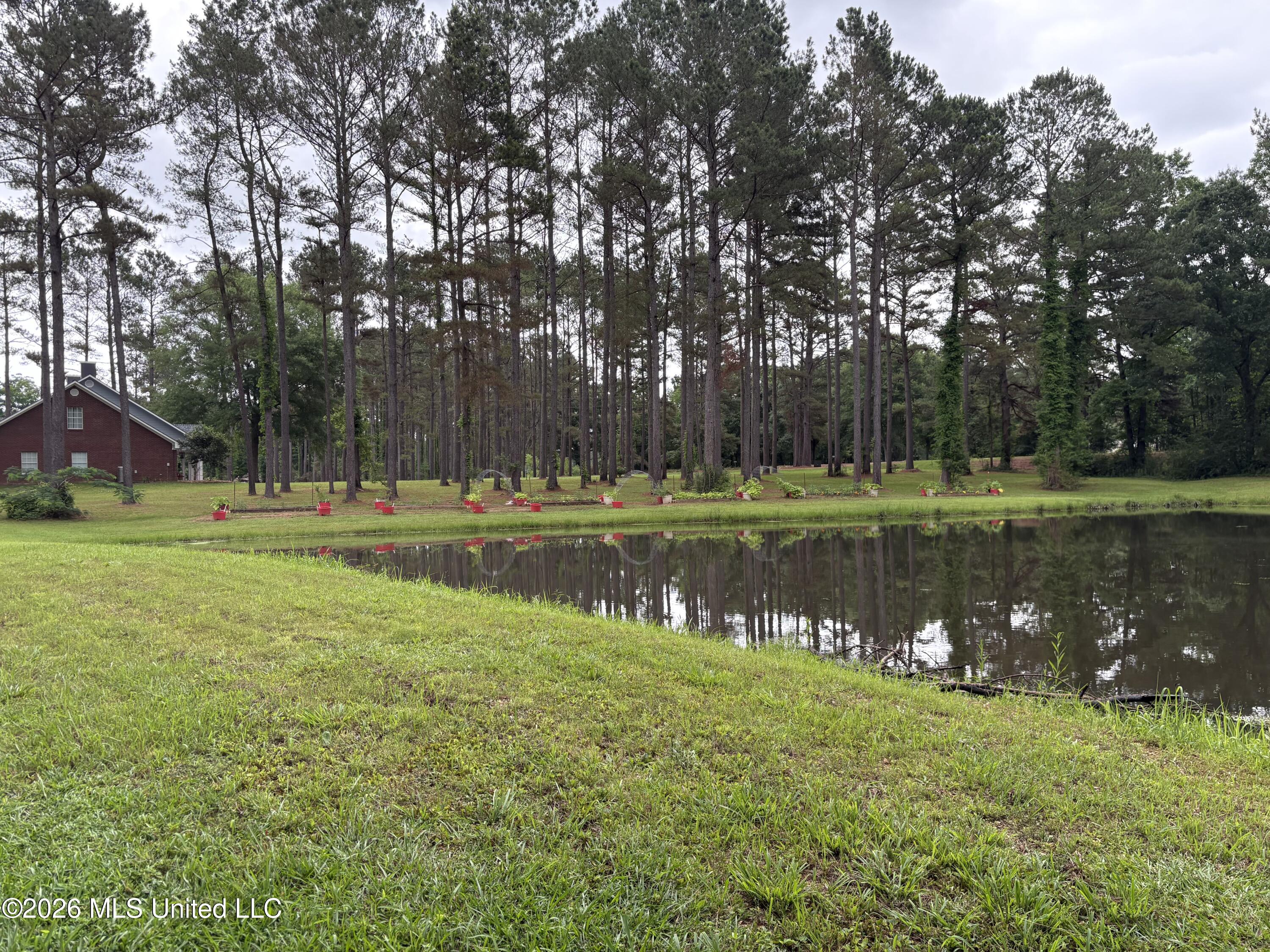 367 Highway 44 Property Photo 45