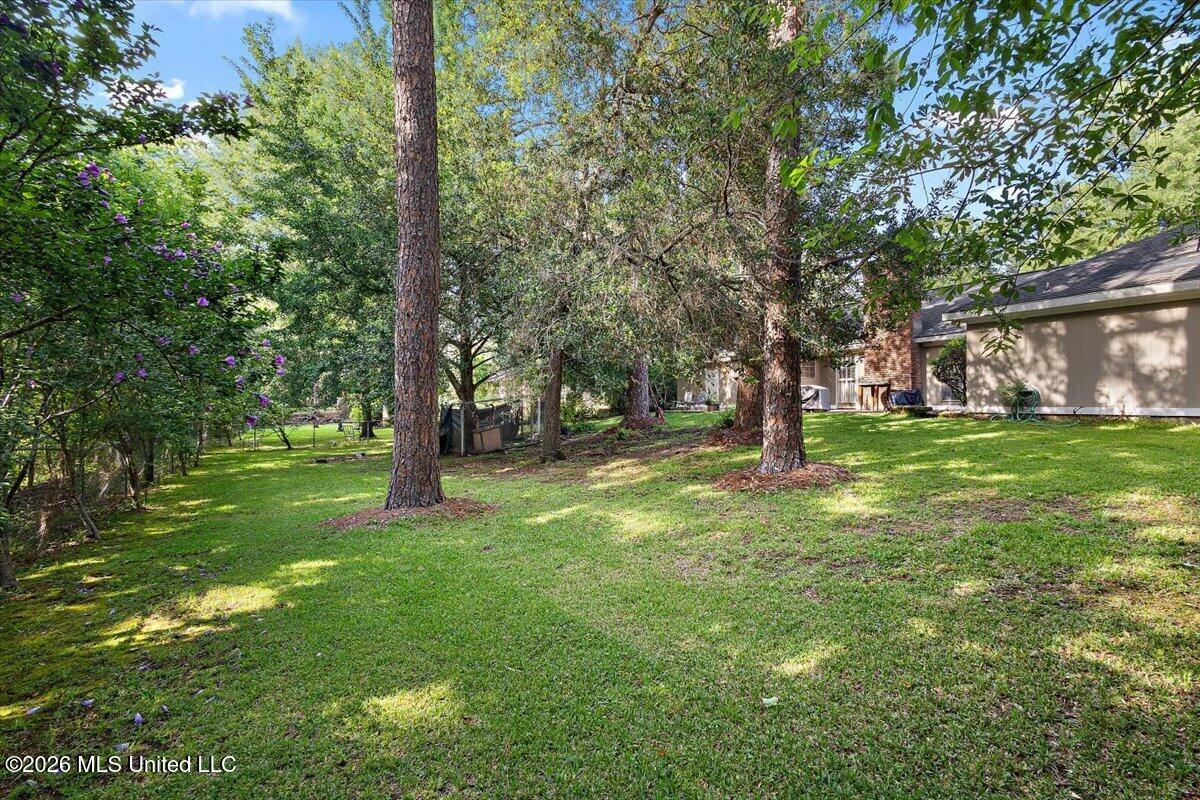 5207 Meadow Oaks Park Drive Property Photo 28