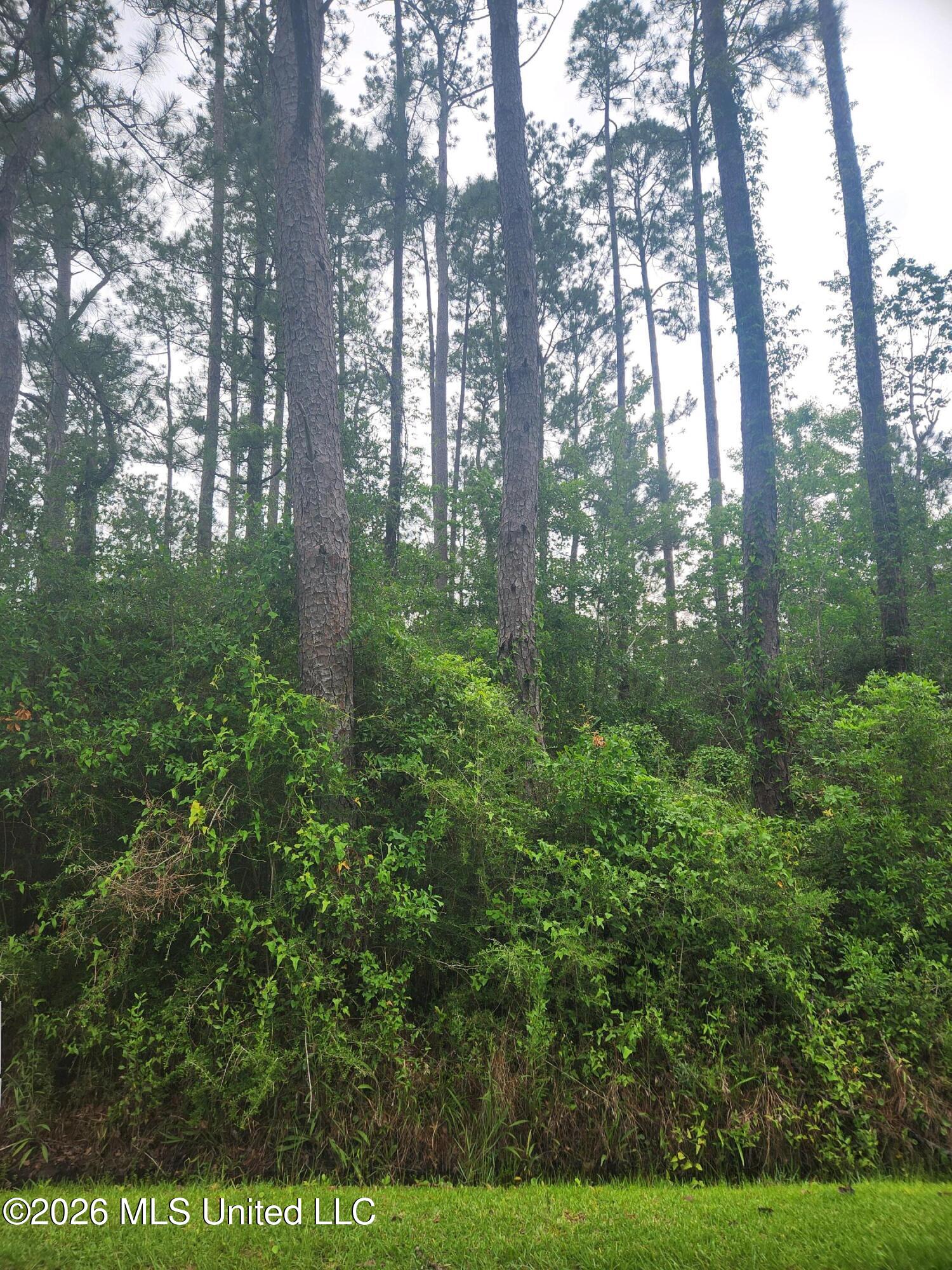5th Street Property Photo 1