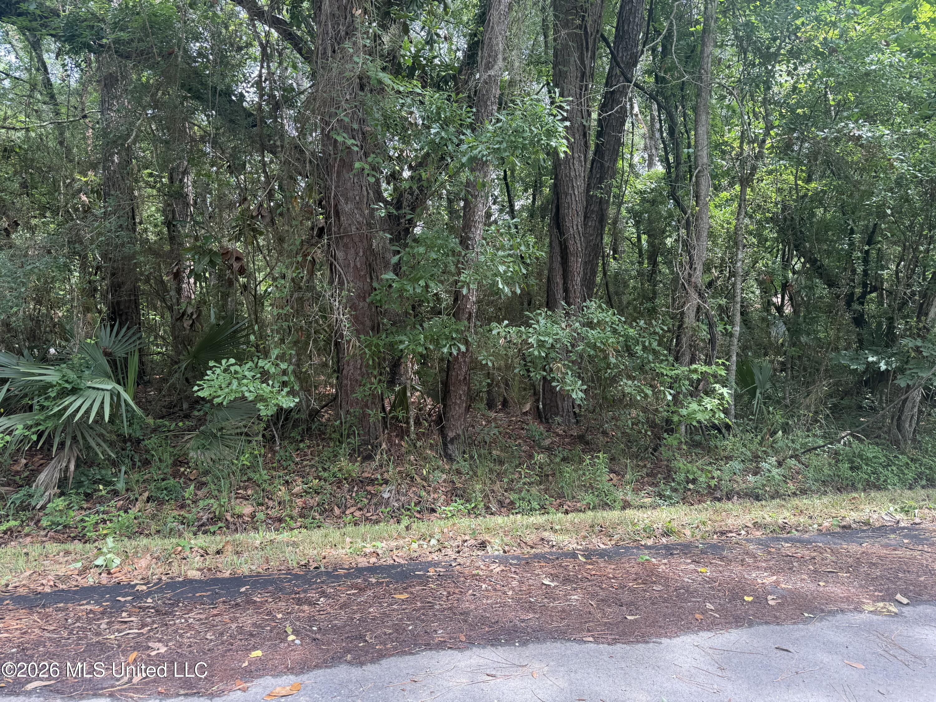 Lundy Williams Road Property Photo 1