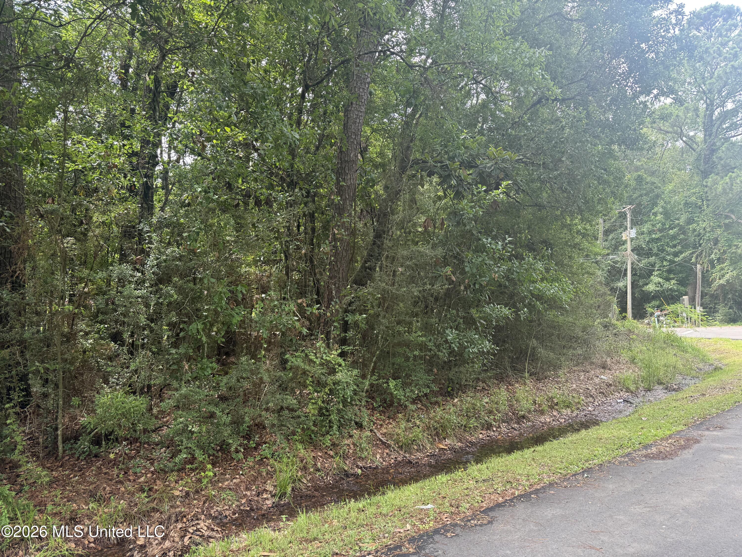 Lundy Williams Road Property Photo 2
