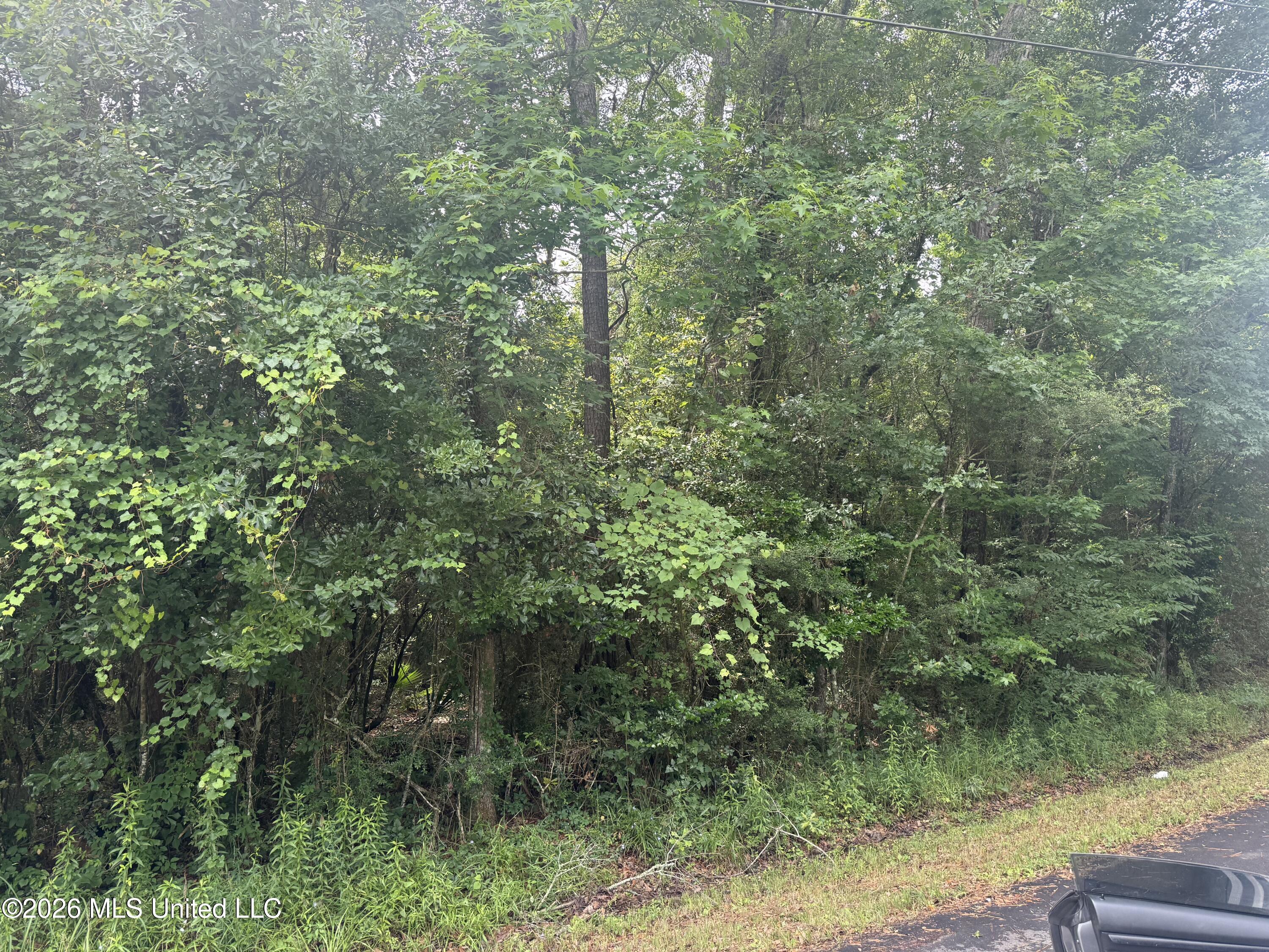 Lundy Williams Road Property Photo 4