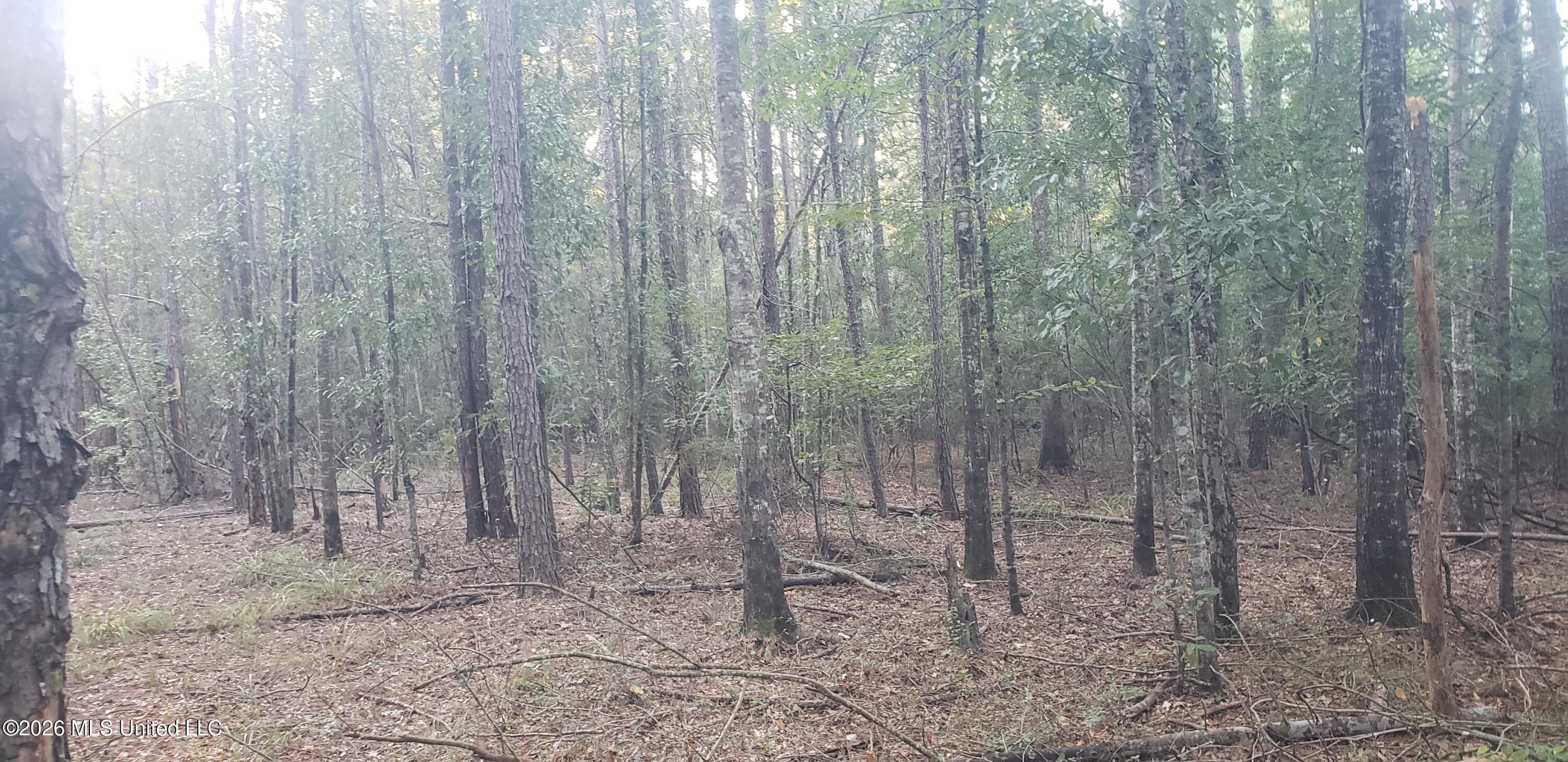 Alden Lane Property Photo 1
