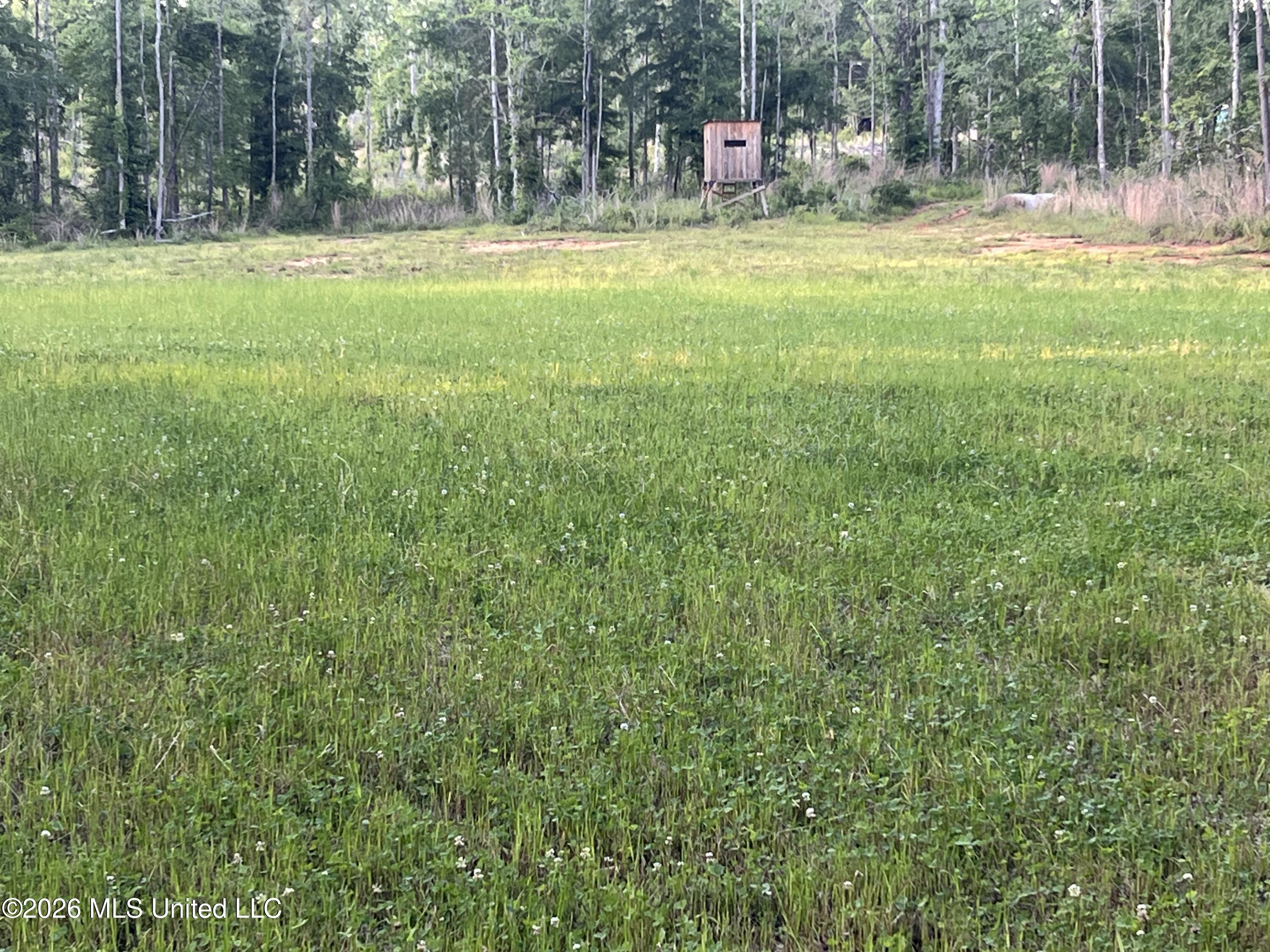 5734 Hebron Road Property Photo 9