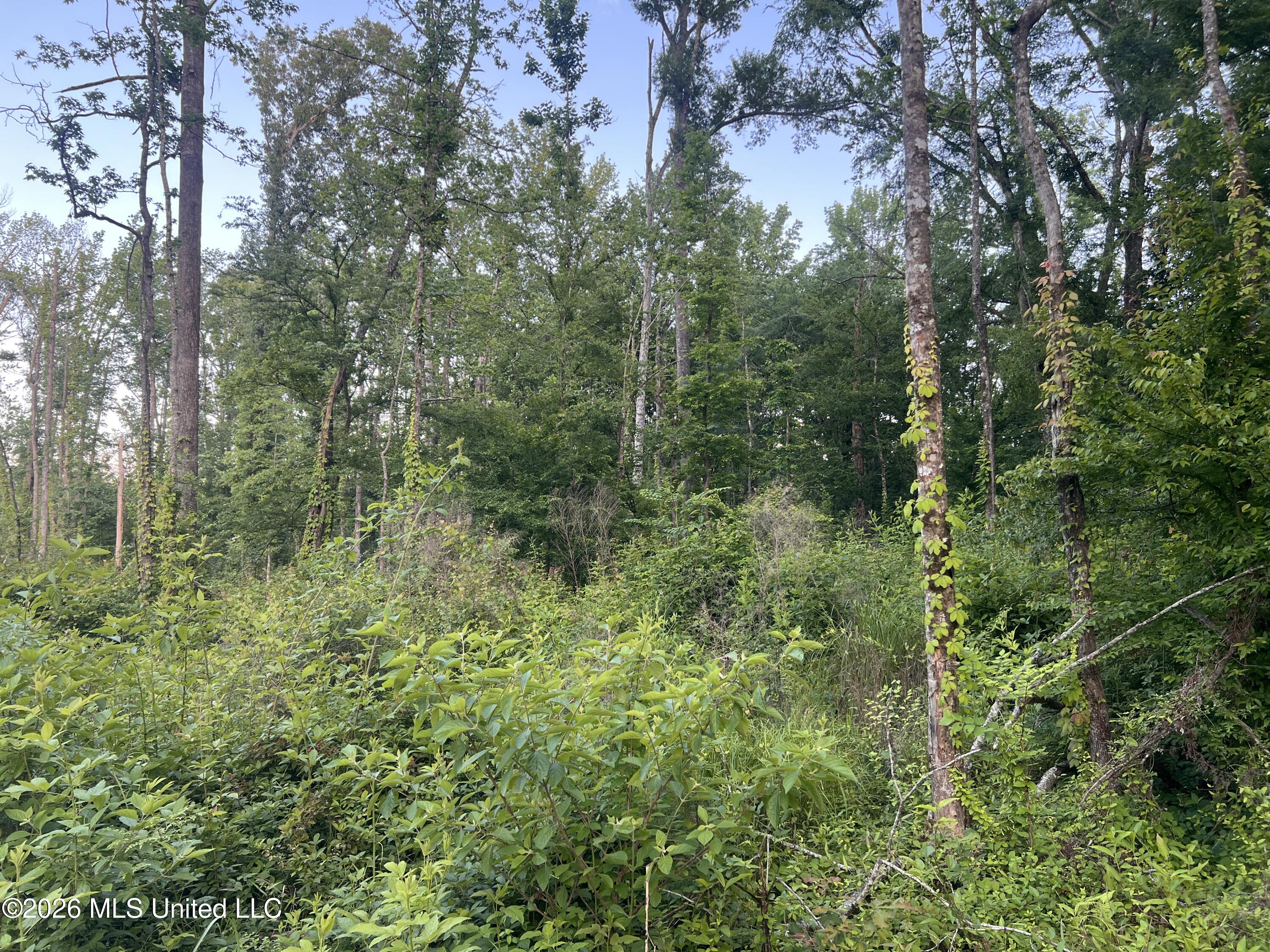 5734 Hebron Road Property Photo 10