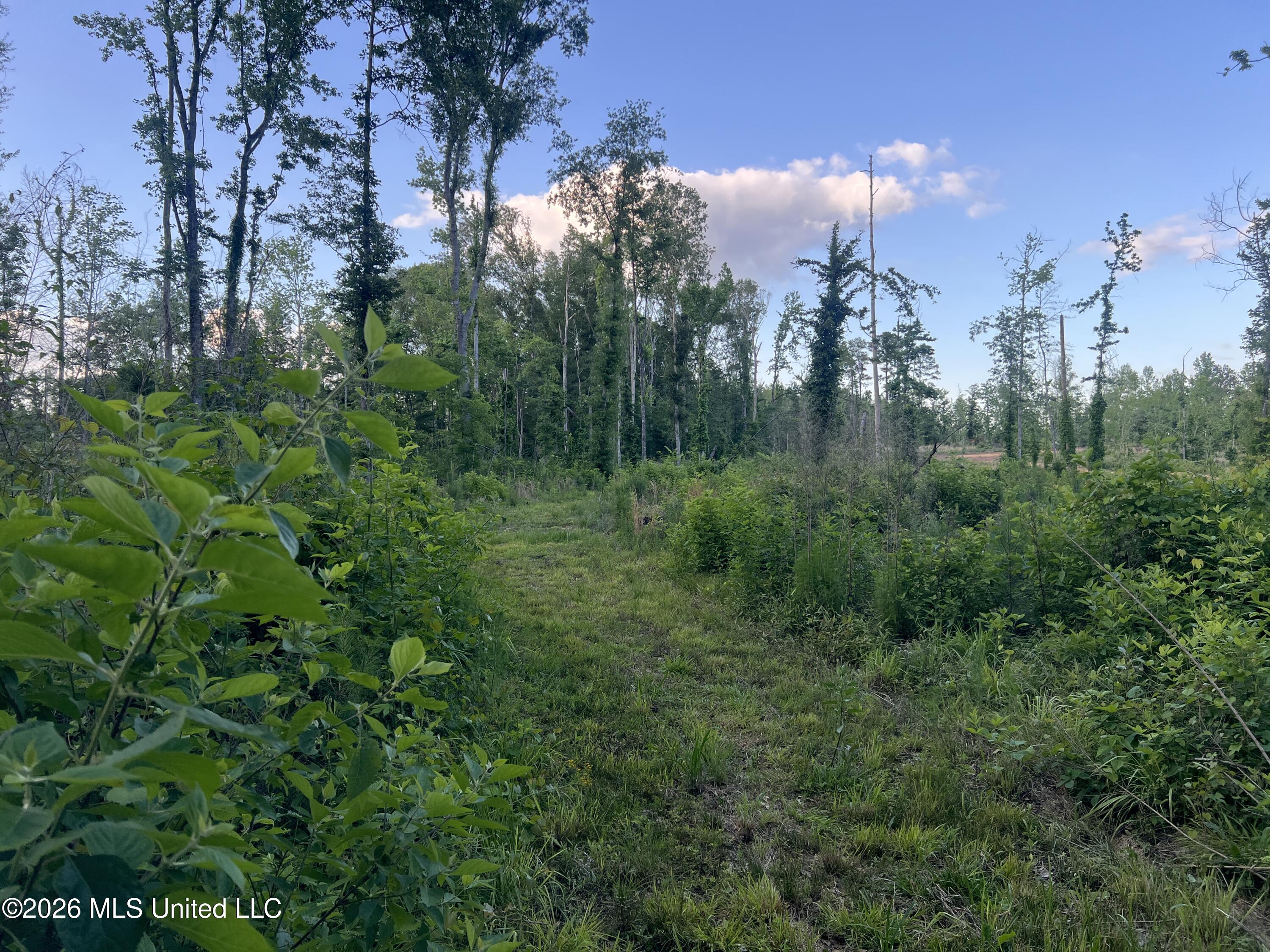 5734 Hebron Road Property Photo 12