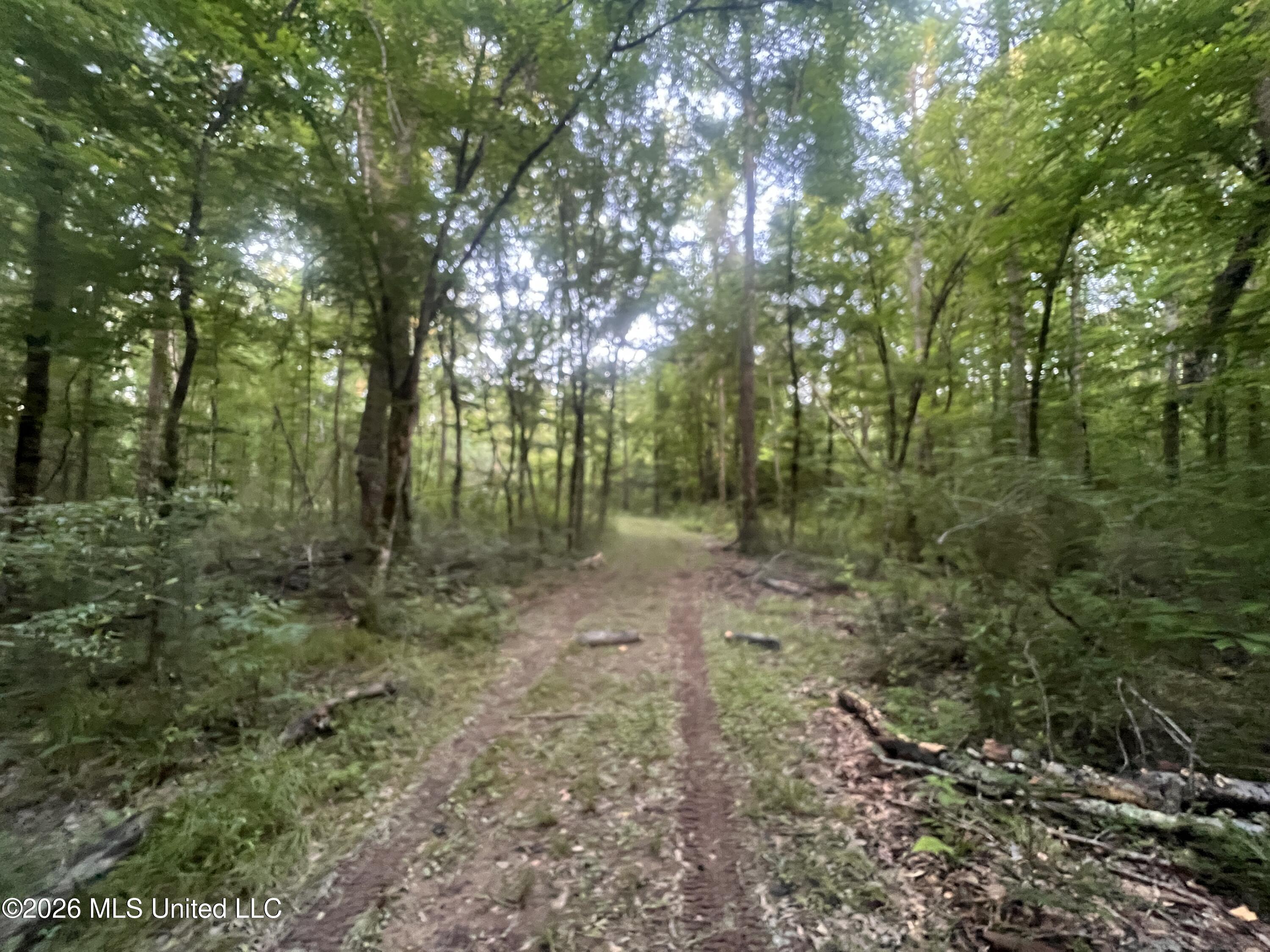 5734 Hebron Road Property Photo 14