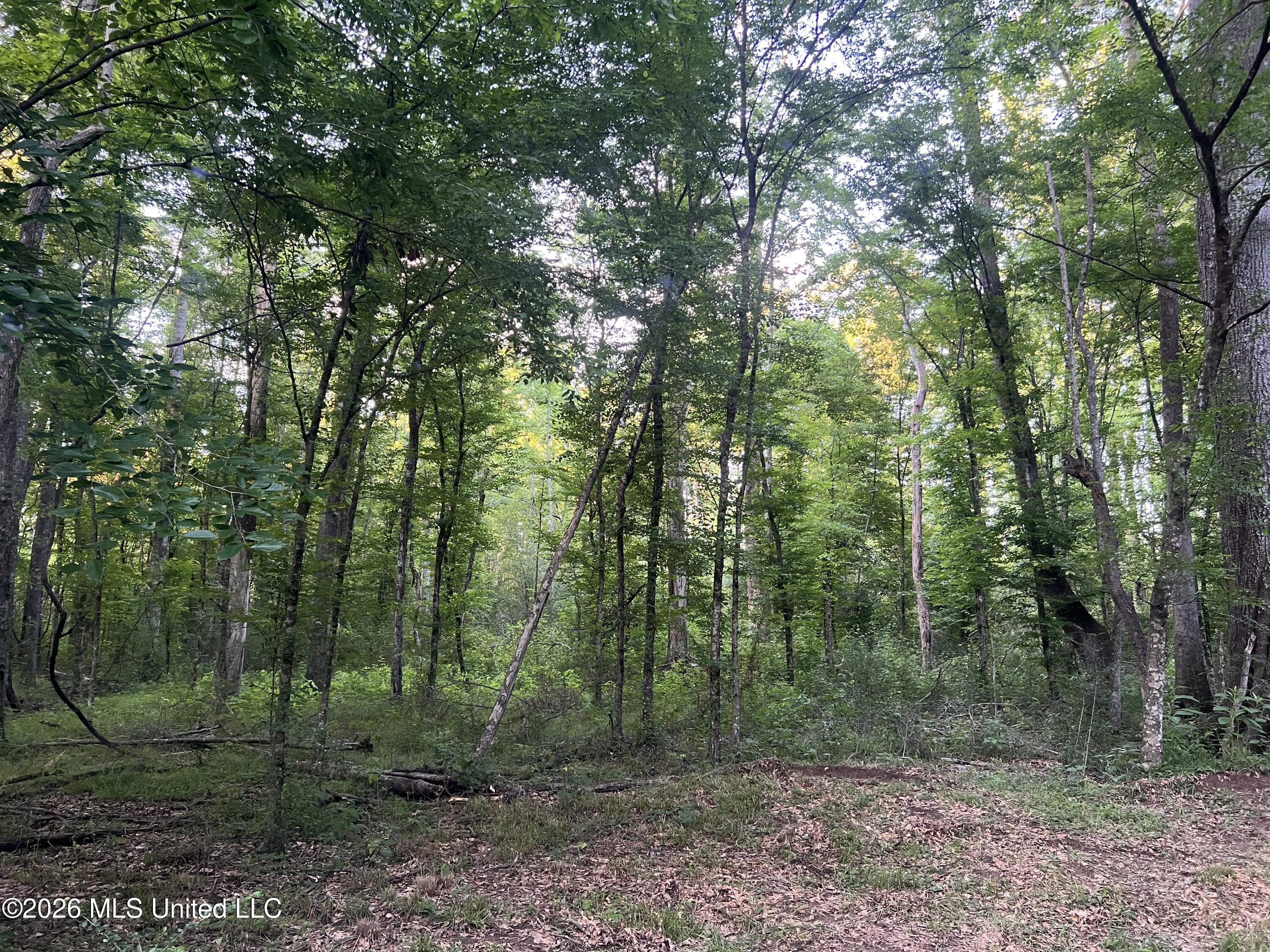5734 Hebron Road Property Photo 15