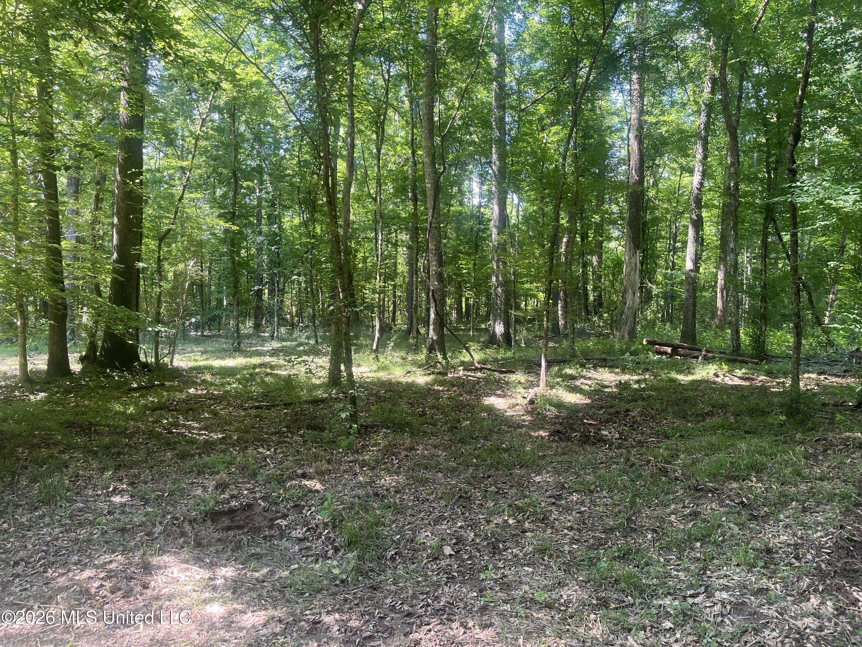 5734 Hebron Road Property Photo 23