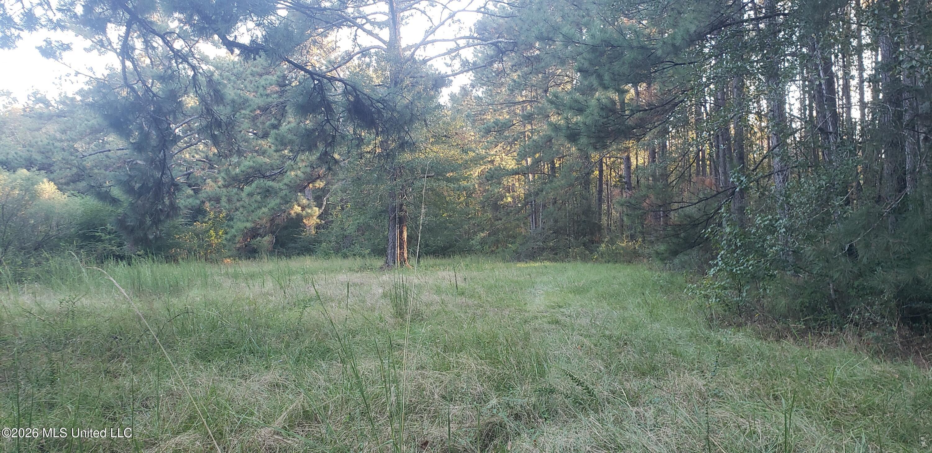 Us Highway 98 Property Photo 1